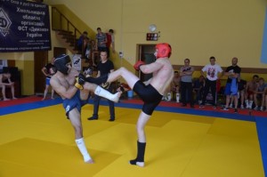 _Chempionat_oblasti_zi_zmishanih_yedinoborstv_MMA__volinyani_proti_podolyan_1_2015_06_17_10_36_27